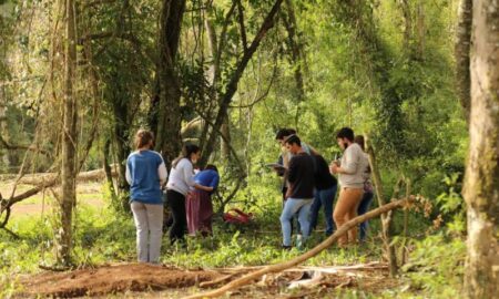 Trabajo De Capacitación En El Monte