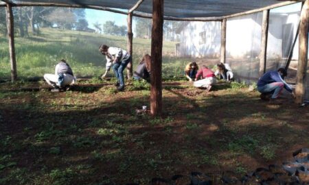 Trabajo Con Plantines Nativos