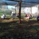 Trabajo Con Plantines Nativos