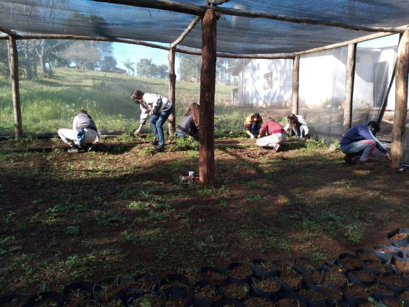Trabajo Con Plantines Nativos
