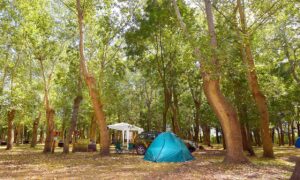 Camping