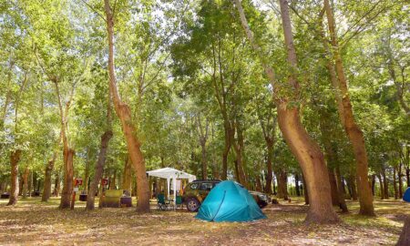 Camping