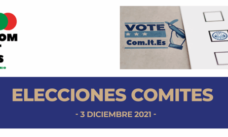 Elecciones Comites