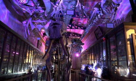Museo De Ciencias Naturales
