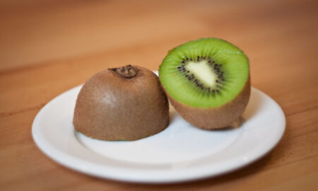 Produccion De Kiwi En Mar Del Plata