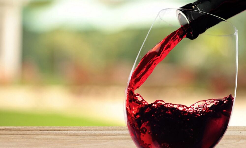 Día Del Vino Argentino Vino