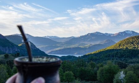 Día Del Mate