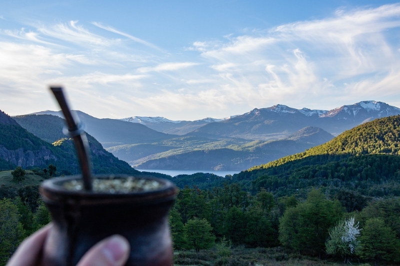Día Del Mate