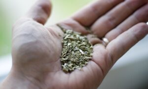 Mano Con Yerba Procesada