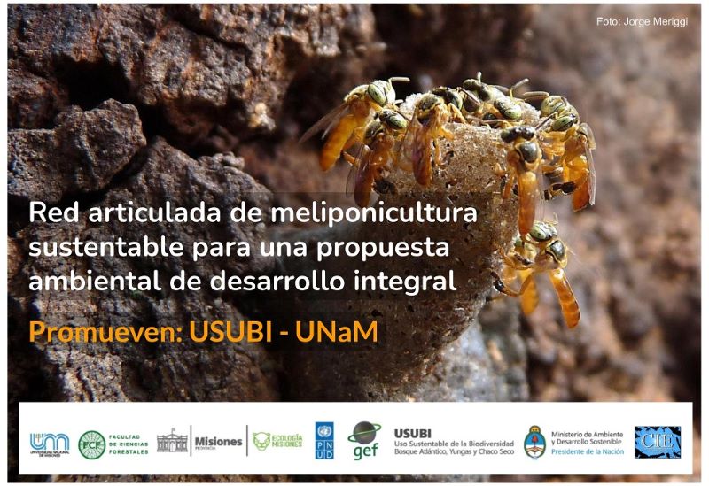 Logo De Red Articualda De Meliponicultura Sustentable