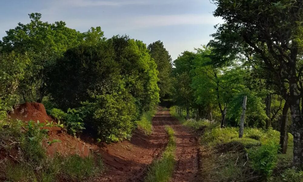 Caminos