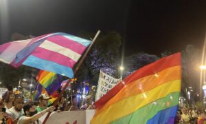 Marcha Del Orgullo