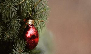 Arbol De Navidad
