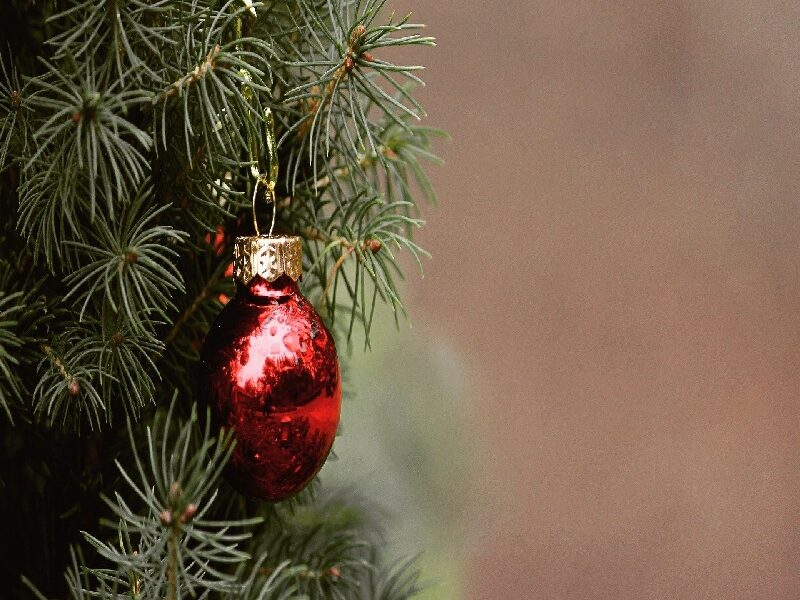 Arbol De Navidad