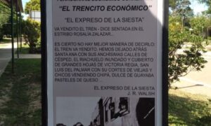 Imagen Del Cartel