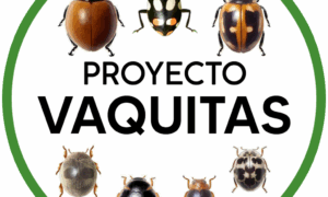 Proyecto