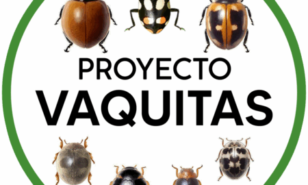 Proyecto