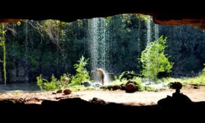 Vista De La Gruta Con Caída De Agua