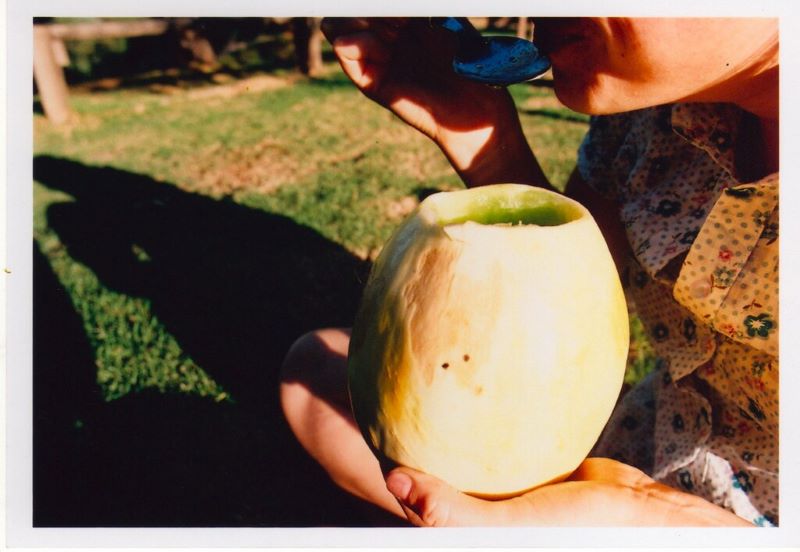 Melón Con Vino Trago Melón