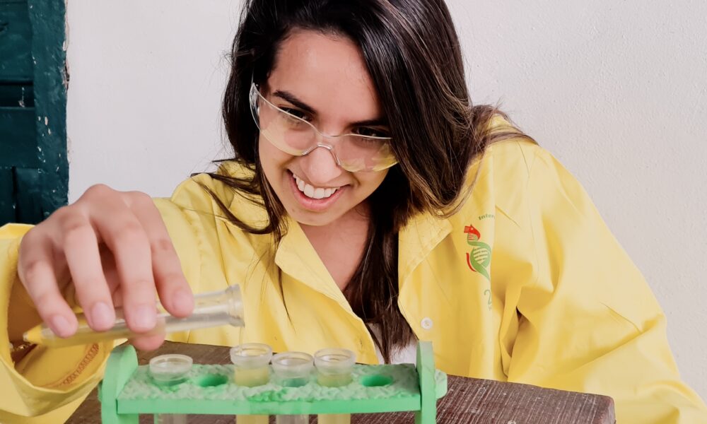 Experimento