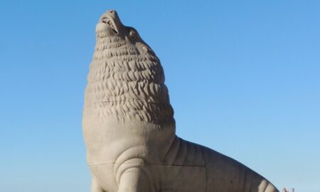 Monumento Lobo Marino De Mar Del Plata