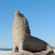 Monumento Lobo Marino De Mar Del Plata