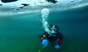 Deportes Extremos En Mar Del Plata Buceo