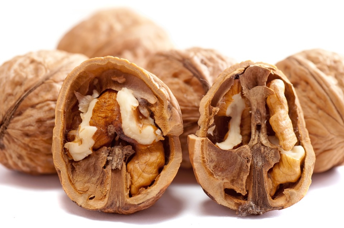 Nueces - Nuez