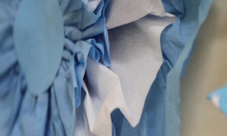 Escarapela De Papel