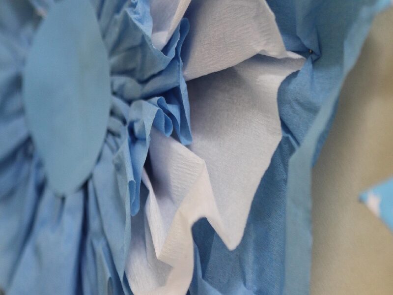 Escarapela De Papel