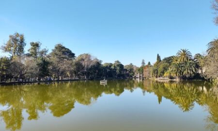 El Bosque Platense Uno