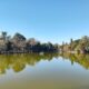 El Bosque Platense Uno