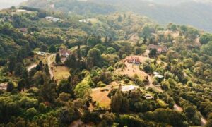 Panoramica