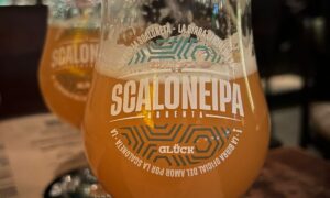 Scaloneipa La Cerveza Del Mundial Qatar 2022