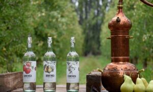Productos Domenica