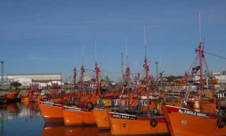 Puerto De Mar Del Plata Lanchas Amarillas Amarradas