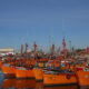 Puerto De Mar Del Plata Lanchas Amarillas Amarradas