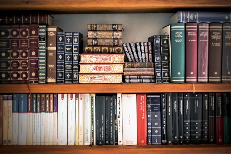 Día Del Lector Biblioteca