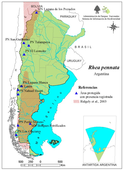 Ñandú - Distribución