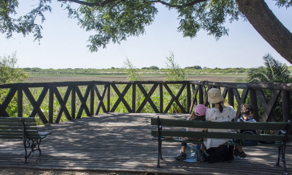 Reserva ecológica - Un lugar para desconectarse