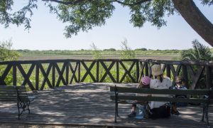 Reserva ecológica - Un lugar para desconectarse
