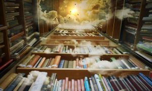mi casa - Biblioteca