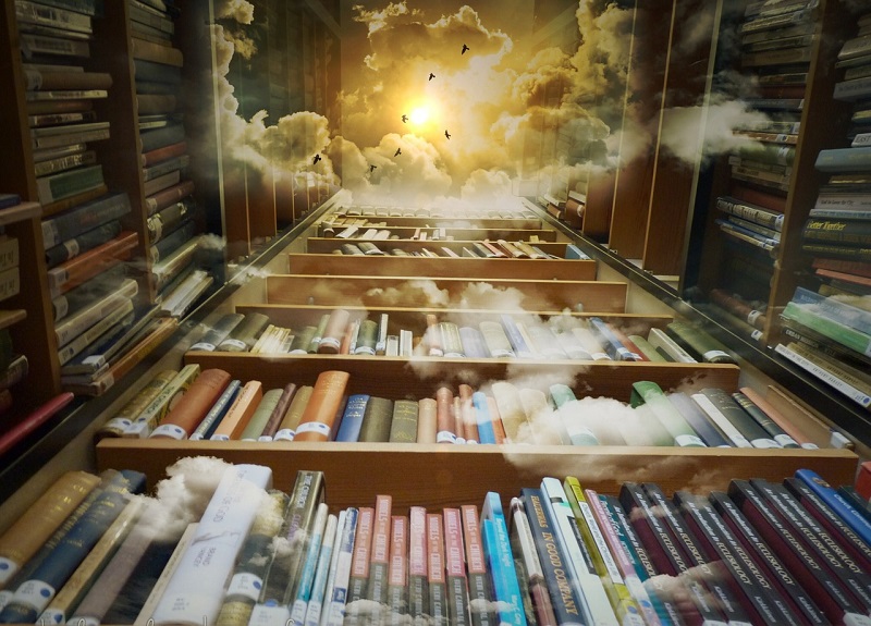 mi casa - Biblioteca