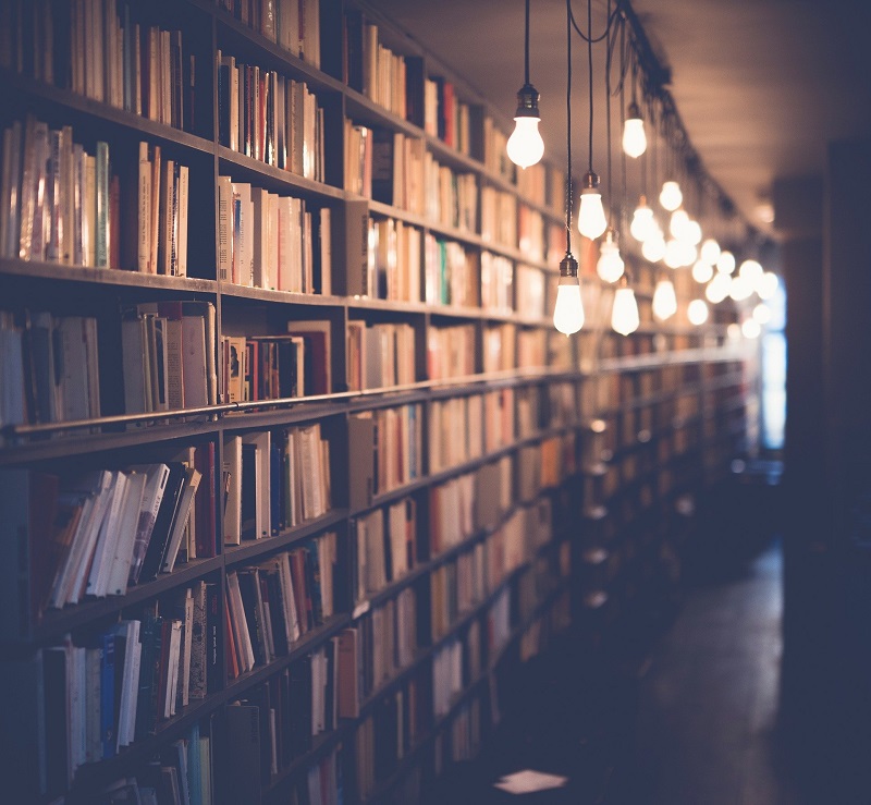 Maestro - Libreria Borges