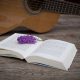 Concursos - Musica