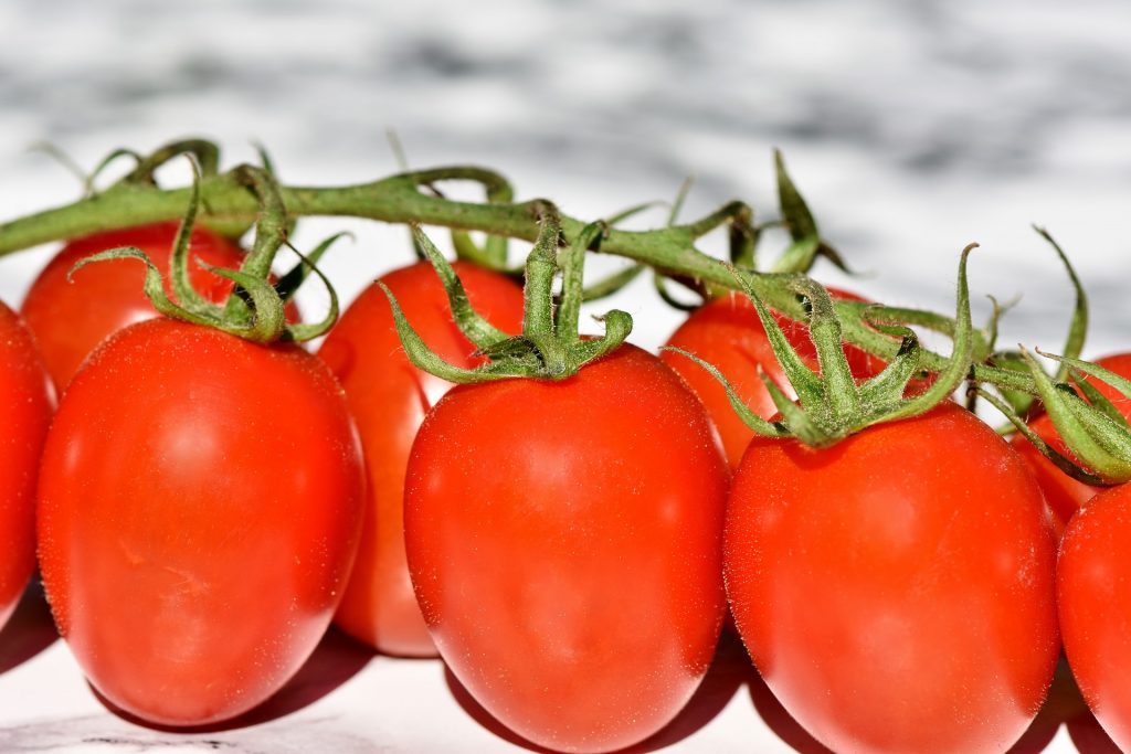Conserva de tomates - Tomates