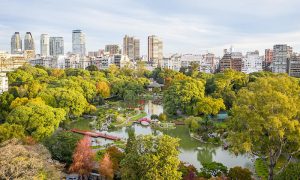 Jardín - Jardin Japones Palermo
