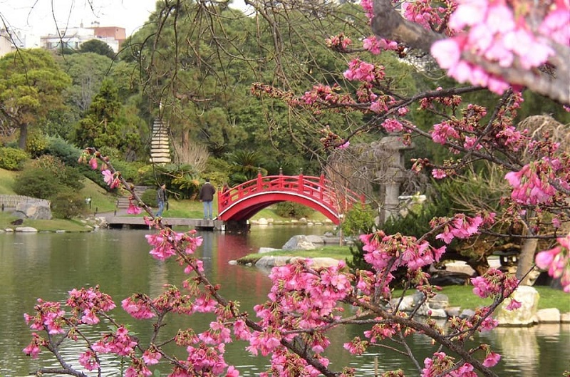 Jardín Japonés - Puente