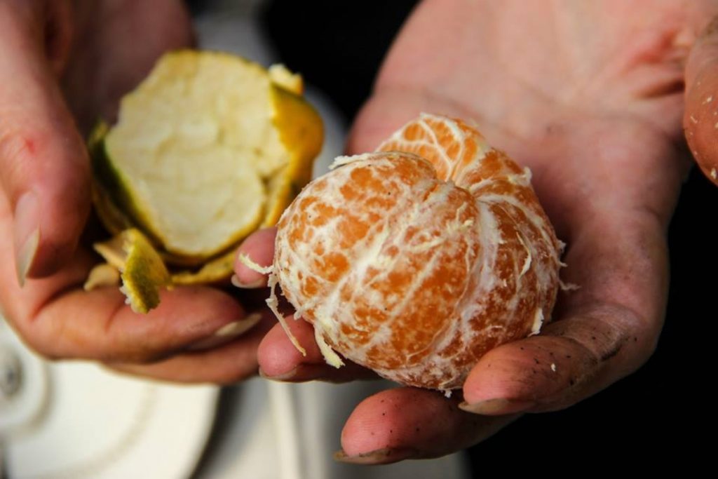 “La Ciudad Nos Regala Sabores” - Fruta Portada