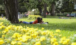 Primavera - Los Bosques de Palermo en la Ciudad de Buenos Aires
